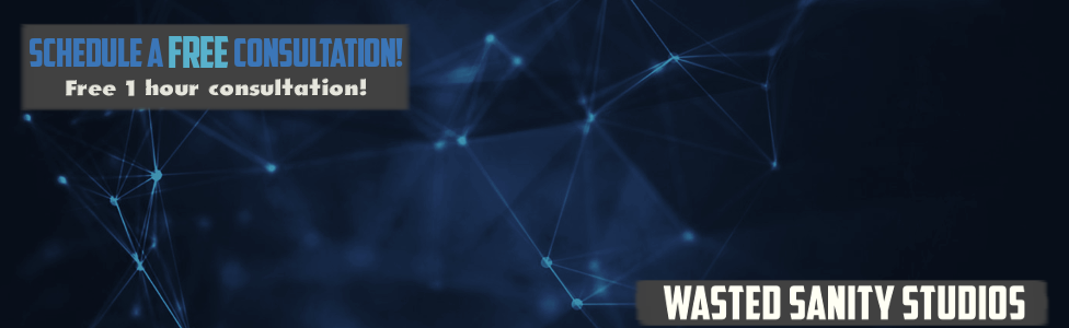 Schedule a Phone Call - WastedSanityStudios.com